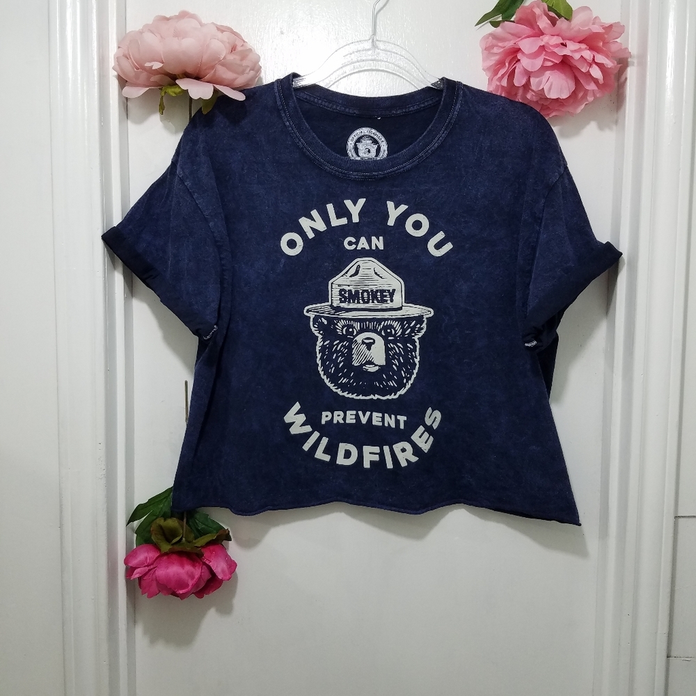 Smokey The Bear Crop Top T-Shirt